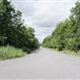 Greenwood Conservation Area TRCA