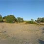 Sandbanks Provincial Park