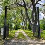 Anglican Cemetery