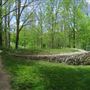Greensville Optimist Park Trail