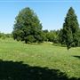 Lakeside Park Kitchener