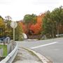 Sunnybrook Park