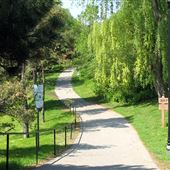 Bayview Village Park