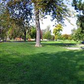 City Park Kingston