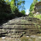 Beamer Memorial Conservation Area NPCA