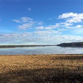 Petrie Island