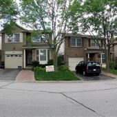 Raintree Lane