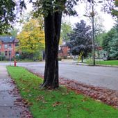 Victoria Street