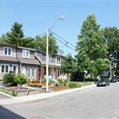 Bushell Avenue
