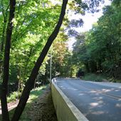 Beckett Drive