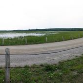 Mitchell Lake Causeway