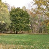Colonel Danforth Park