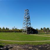 Petrolia Discovery
