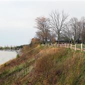 Pioneer Park