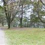 Niagara Shores Park