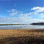 Petrie Island