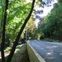 Beckett Drive