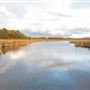 Mer Bleue Park