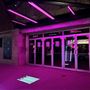 Rare Nightclub