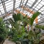 Gage Park Tropical Greenhouse