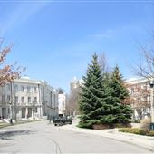 Castle Hill Development - Walmer Road