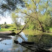 Claireville Conservation Area TRCA