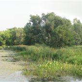 Dutchy's Park