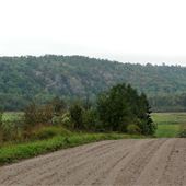 McKinnon Side Road