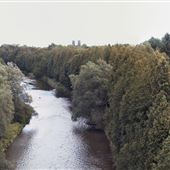 Grand River at Fergus