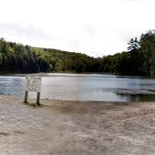 Scanlon Creek Conservation Area