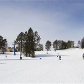 Laurentian Ski Hill