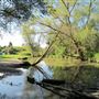 Claireville Conservation Area TRCA