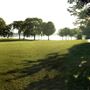 Del Crary Park