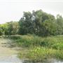 Dutchy's Park