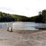 Scanlon Creek Conservation Area