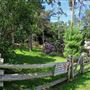 Brueckner Rhododendron Garden