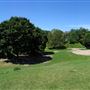 Trinity Bellwoods Park
