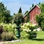 The Eddie Hotel and Farm