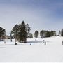 Laurentian Ski Hill
