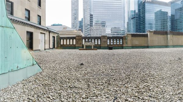 The Fairmont Royal York Hotel - Rooftop Outside Room 1-161 (1/31/2020)