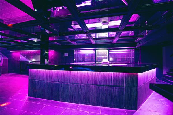 MANSION<br />Main Bar